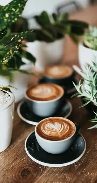 Specialty Coffee Bar